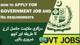 How to Land a Government Job in Pakistan: A Complete Guide