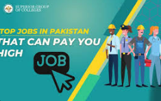 Salary Trends and Expectations for Different Professions in Pakistan